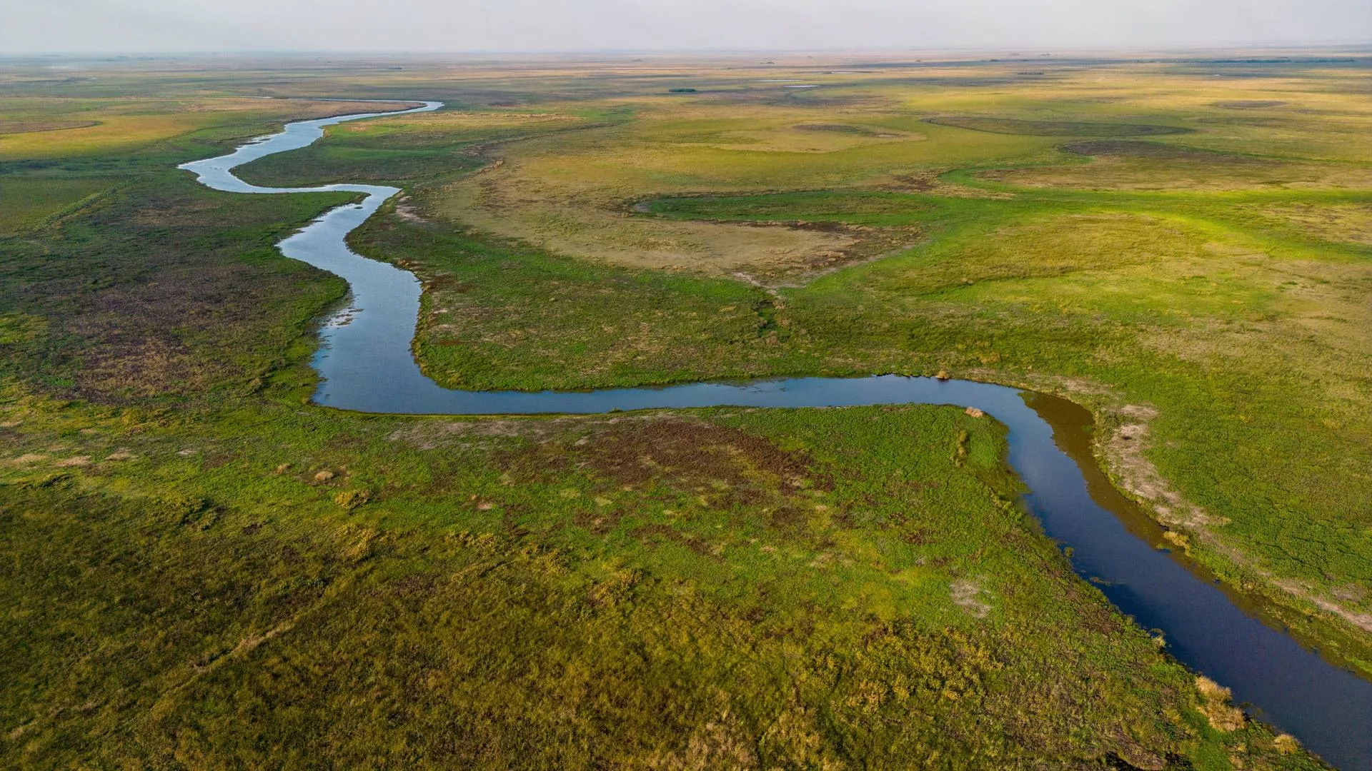 Vista aérea del humedal con un curso de agua atravesando el pastizal